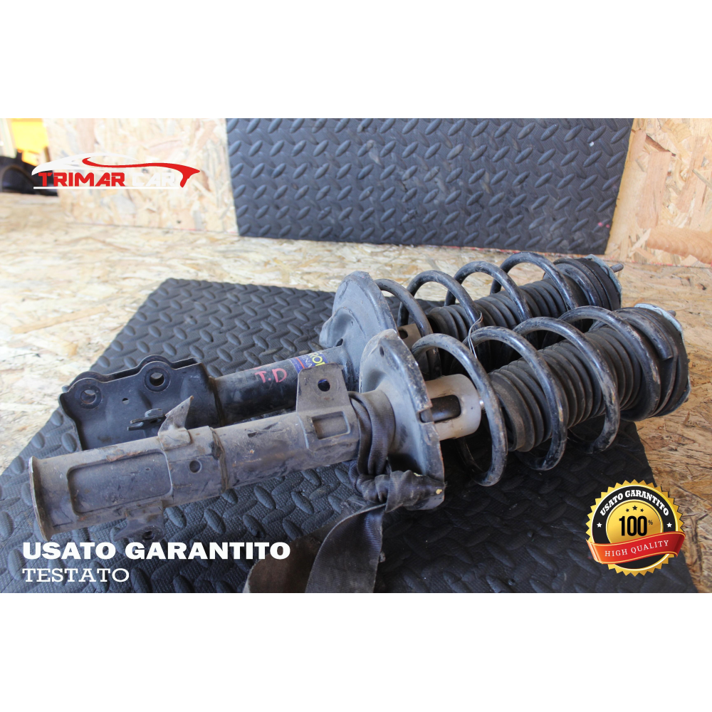 G7303R COPPIA AMMORTIZZATORI ANTERIORI DX SX FORD FIESTA 5 V (JH,JD)(01-10)