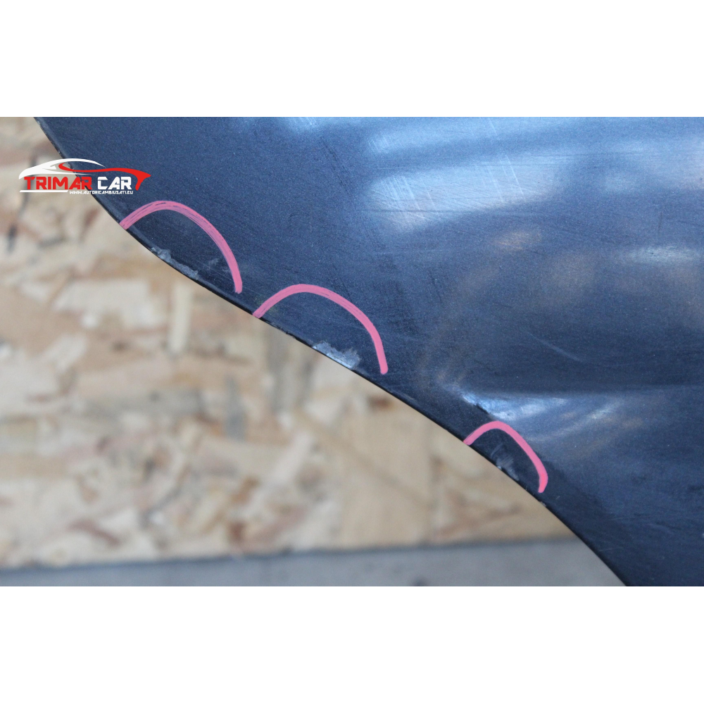 SPORTELLO PORTA PORTIERA POSTERIORE DX DESTRA NISSAN MICRA 3 (K12)(2002-2010) MICRA