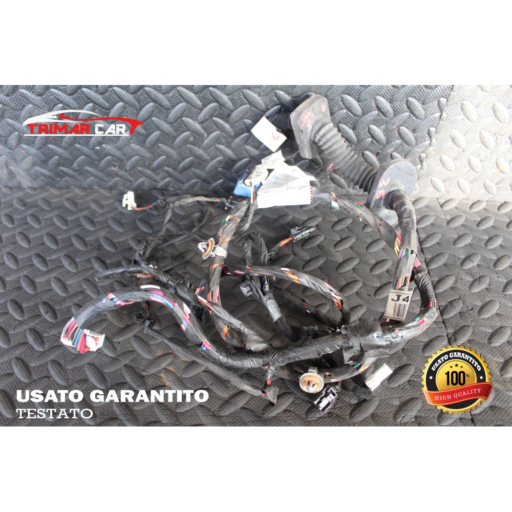 916602E010 CAVI CABLAGGIO PORTA POSTERIORE DESTRA HYUNDAI TUCSON (JM)(2004-2010) 2.0 CRDI 113CV 83KW COD MOTORE: D4EA