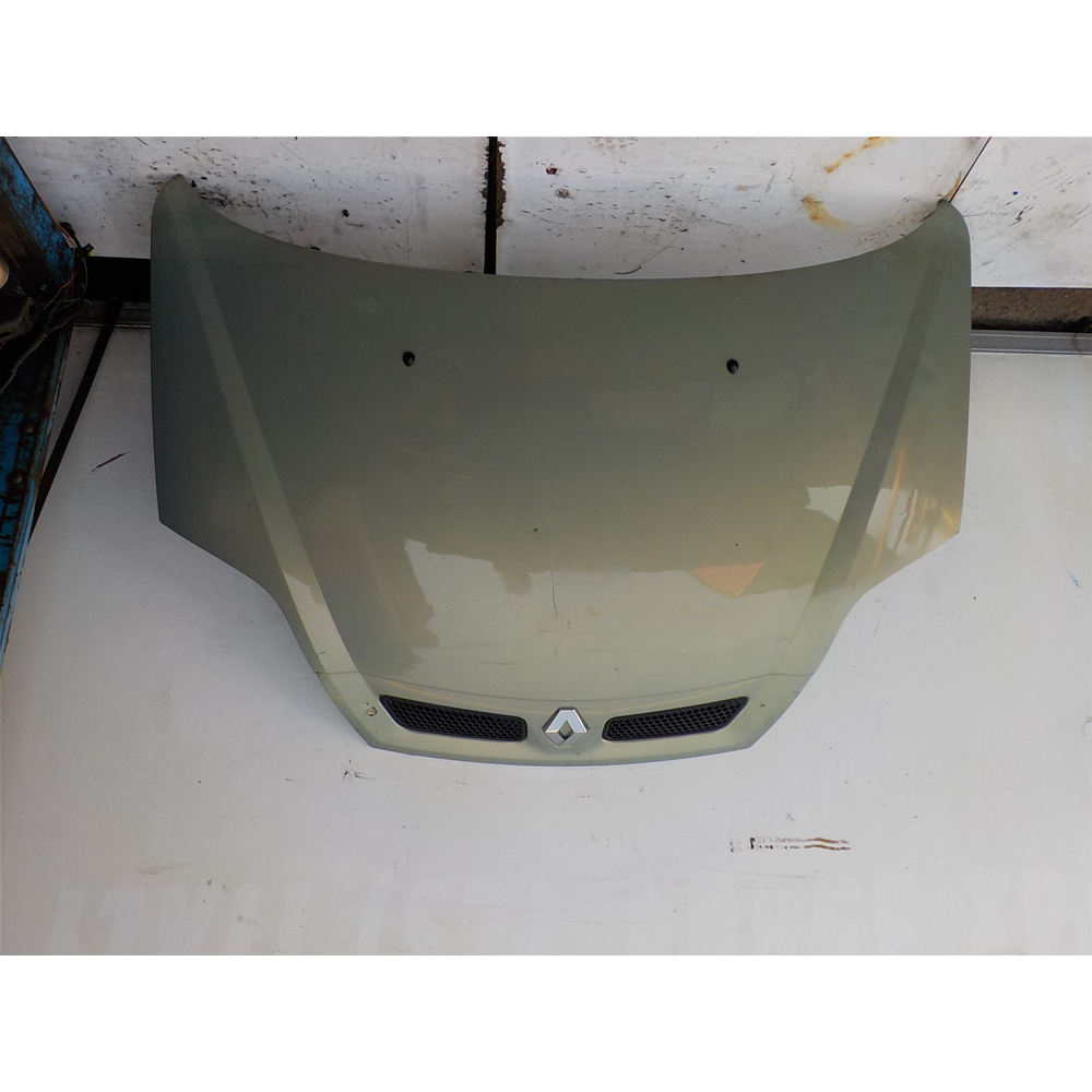 COFANO ANTERIORE RENAULT SCENIC (JA0/1_) [1999-2003]