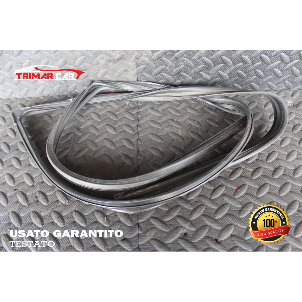 GUARNIZIONE VETRO ANTERIORE DESTRO TOYOTA RAV4 3 III (A3)(05-13)