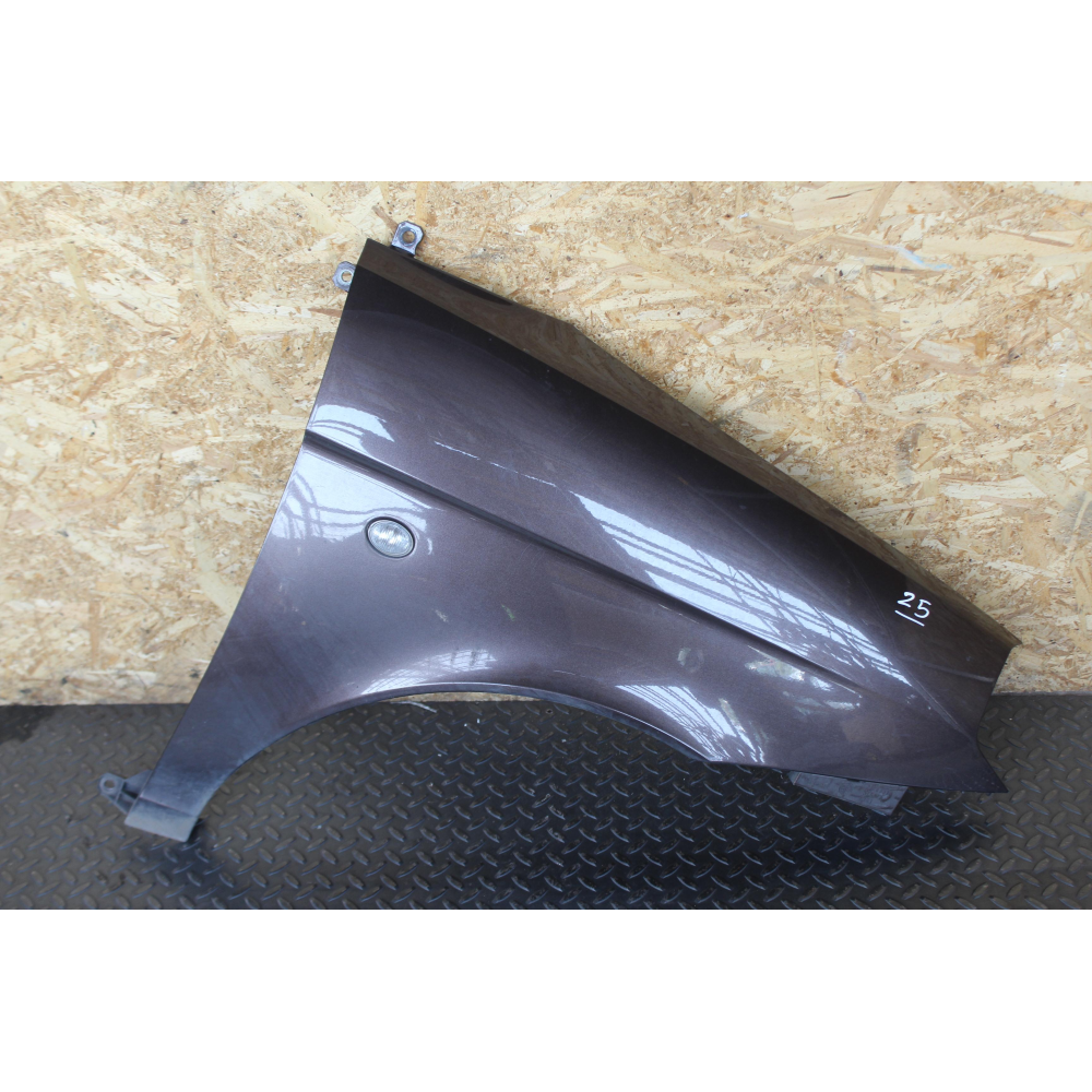 PARAFANGO ANTERIORE DX DESTRO LANCIA YPSILON 2 (843)(2003-2011) 1.3MJET 75CV 55KW COD MOT; 199A2000