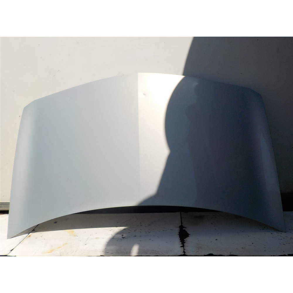 COFANO ANTERIORE RENAULT MEGANE 2ª SERIE (BM0\1_CM0\1) [02-11]