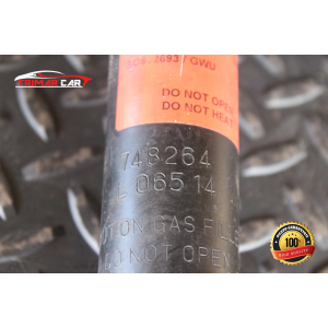 JGT230T COPPIA AMMORTIZZATORI POSTERIORI DX SX FIAT PUNTO 1 (176)(1993-1999)