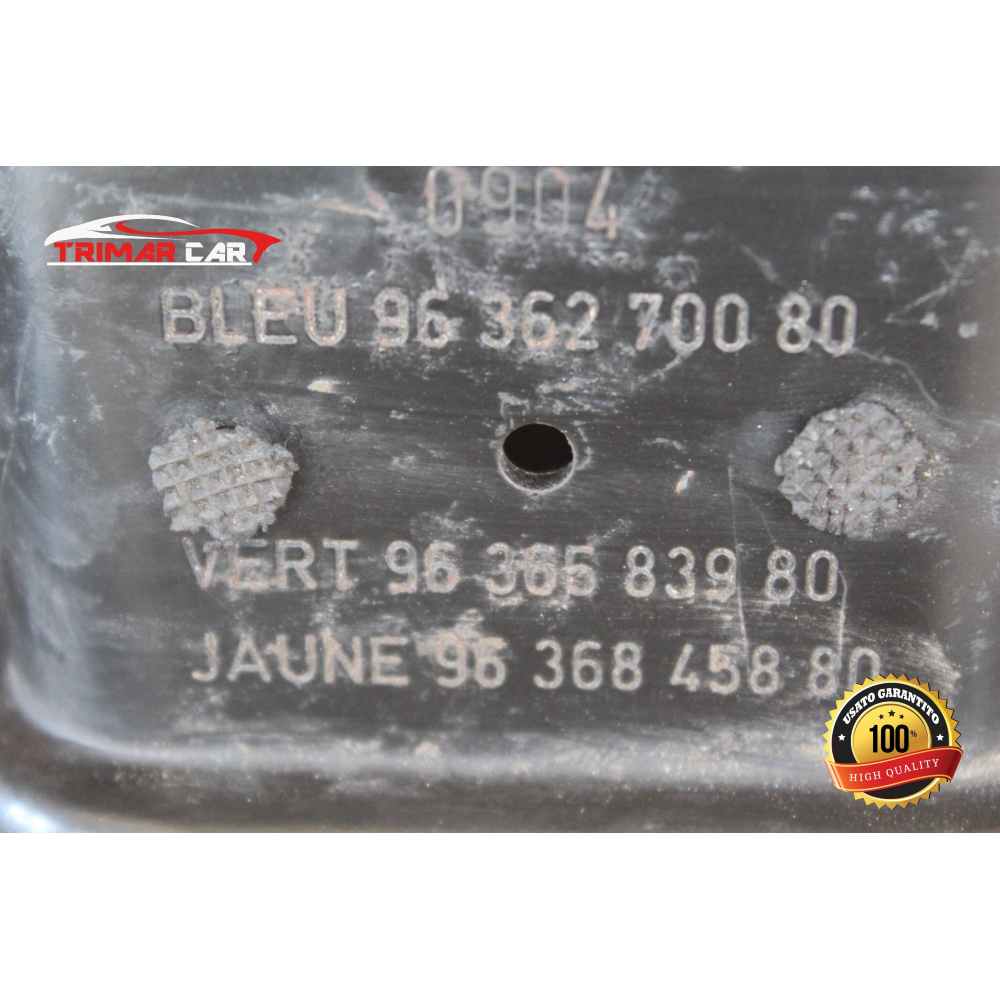 9636270080 SUPPORTO MOTORE PEUGEOT 307 (3A/C)(2000-2009)