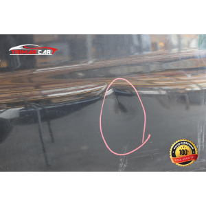 SPORTELLO PORTA PORTIERA POSTERIORE SX SINISTRA SSANGYONG KYRON (2005 IN POI) 2.0 XDI 4X4 141CV 104KW COD MOTORE: 664950 (D20DT)