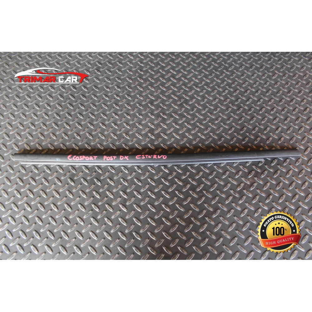 RASCHIAVETRO ESTERNO POSTERIORE DESTRO FORD ECOSPORT (2011 IN POI)