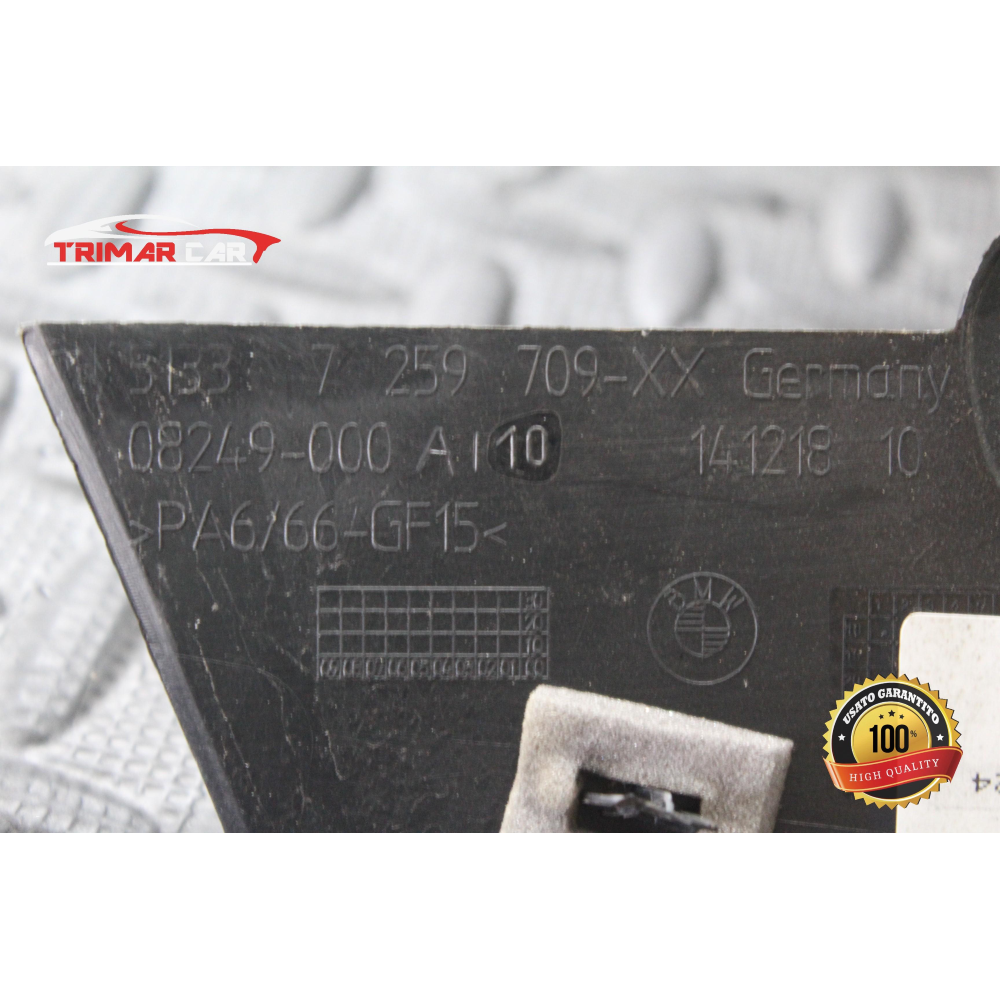 7259709 MODANATURA SPORTELLO POSTERIORE SINISTRO BMW SERIE 3 (F30,F80)(2011-2018)