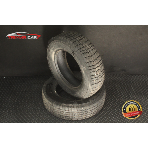165/70R13 COPPIA GOMME PNEUMATICI INVERNALI ALPINS RICOPERTE
