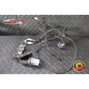 68084155AB CAVI CABLAGGIO PORTA POSTERIORE DESTRA LANCIA THEMA 2 (LX)(2011 >) 3.0 D 239CV 176KW COD MOT; EXF