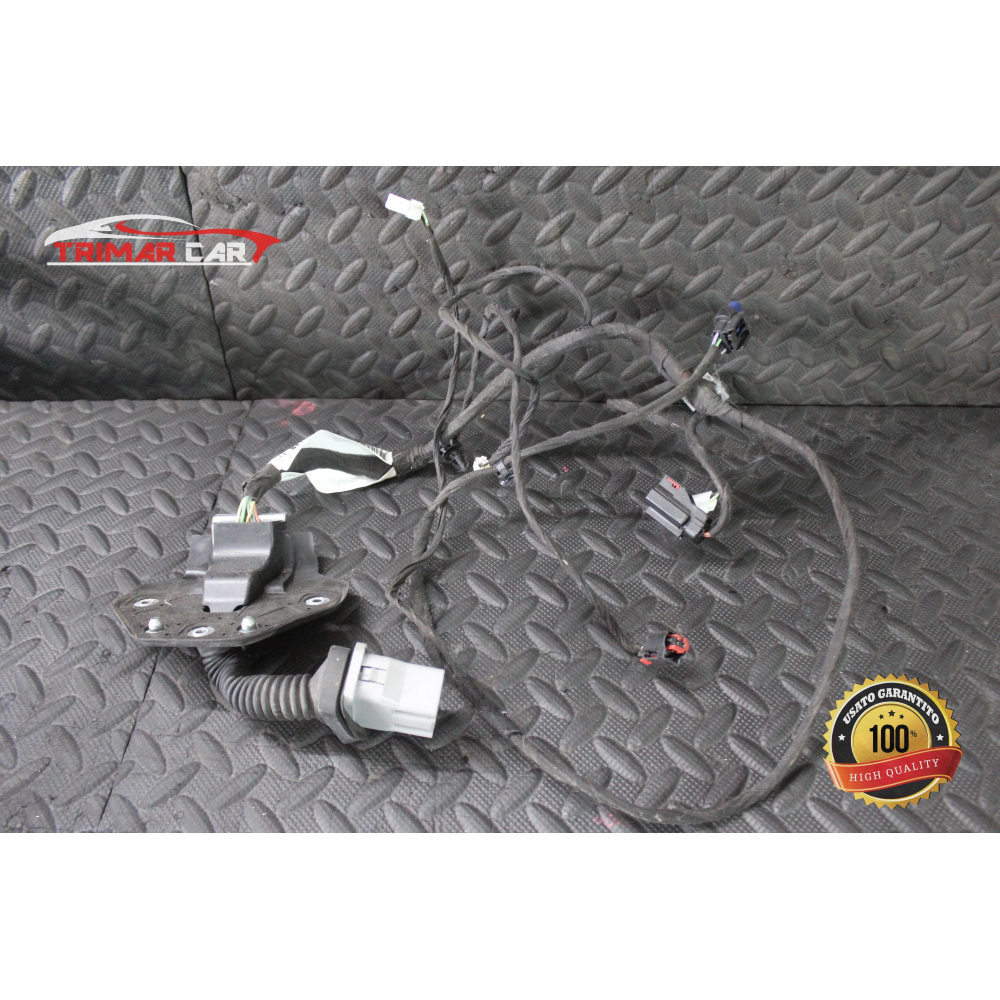 68084155AB CAVI CABLAGGIO PORTA POSTERIORE DESTRA LANCIA THEMA 2 (LX)(2011 >) 3.0 D 239CV 176KW COD MOT; EXF