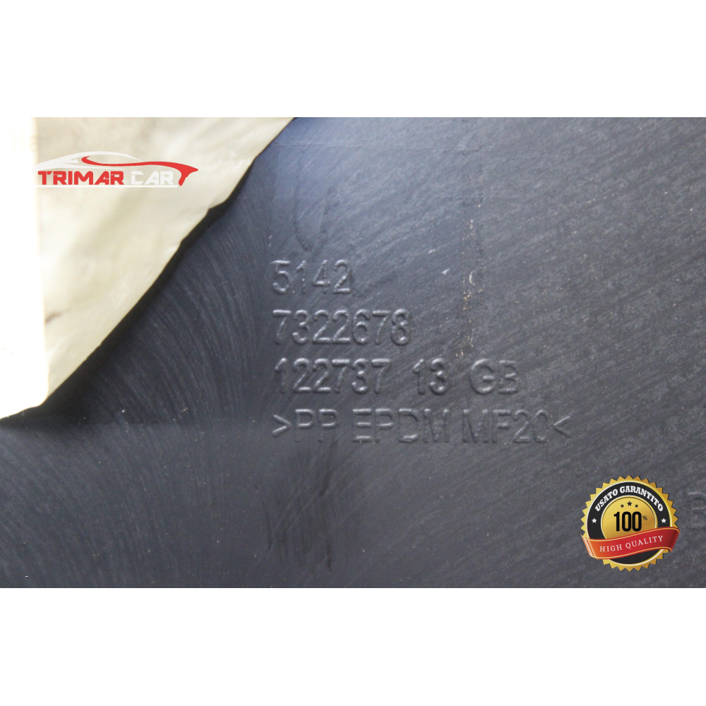 7322678 PANNELLO PORTIERA POSTERIORE DESTRA MINI COOPER (F55)(2013 >)