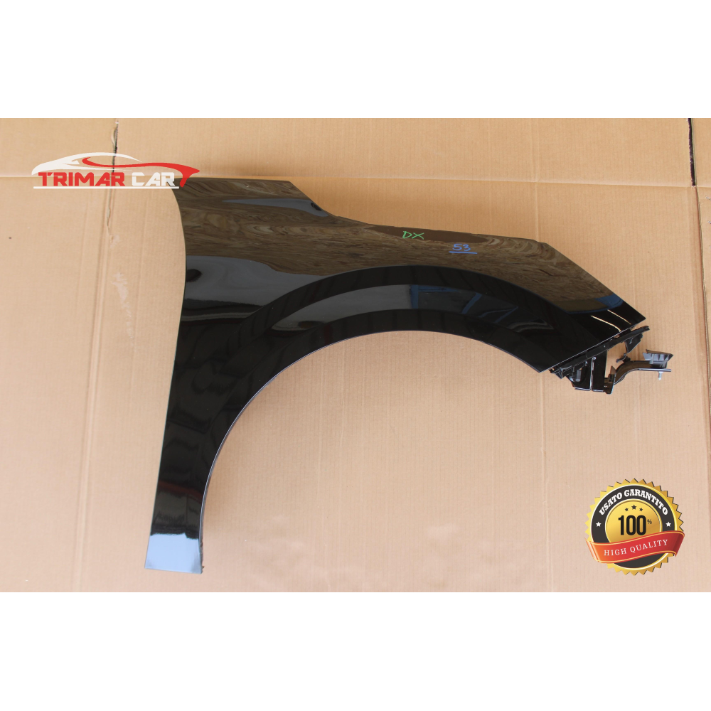 PARAFANGO ANTERIORE DX DESTRO PEUGEOT 208 2 II (UB_UP_UW_UJ_) (2019>) 1.5 BlueHDI 100 102CV 75KW YH01